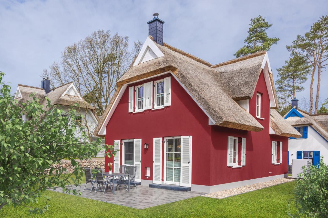 Reetdachhaus Am Haff Mit Sauna, Terrasse, Wlan Zirchow Exterior foto